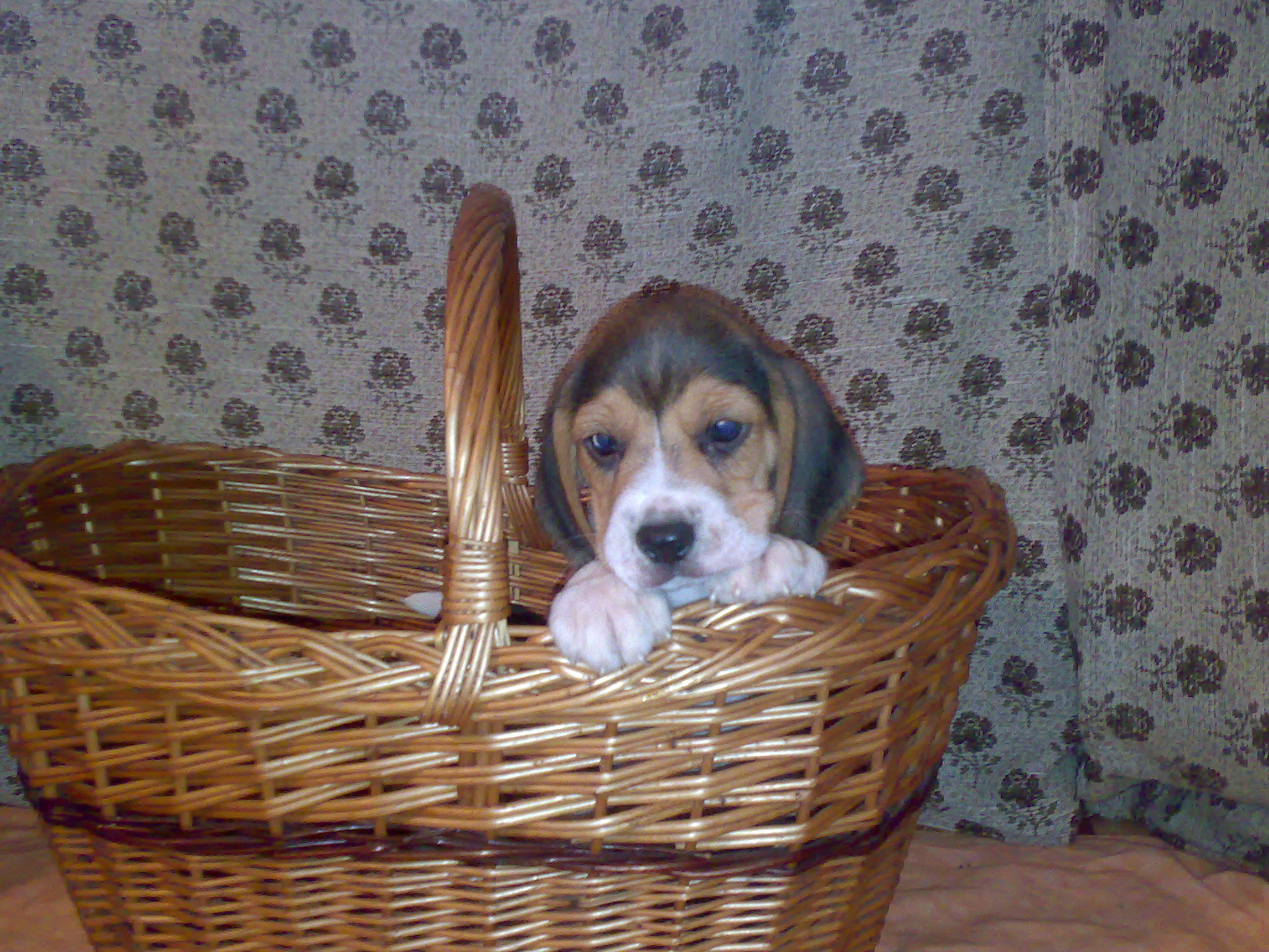 20112008705.jpg