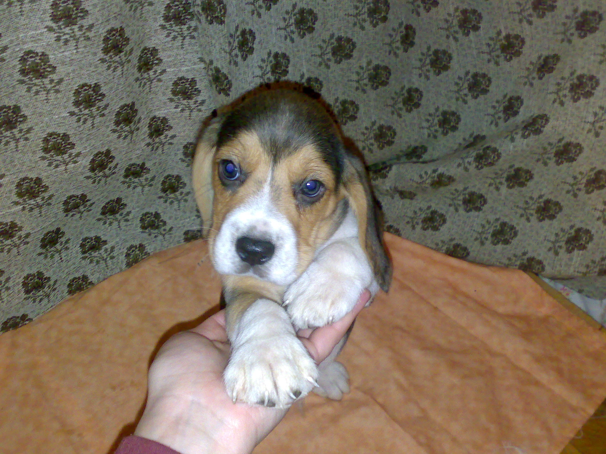 20112008702.jpg