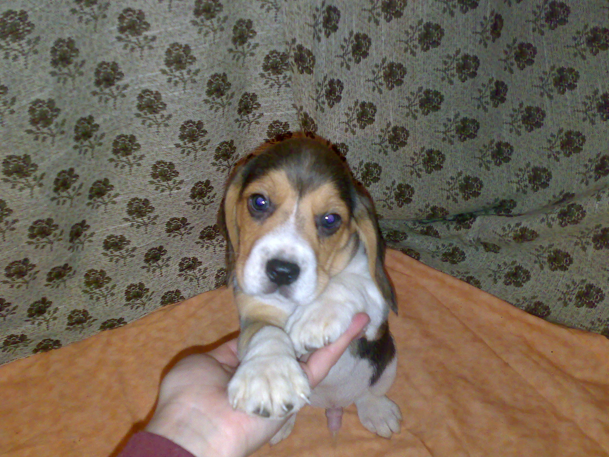 20112008703.jpg