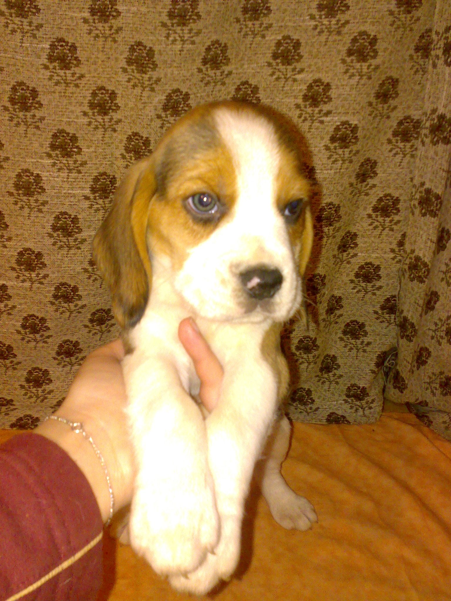20112008727.jpg