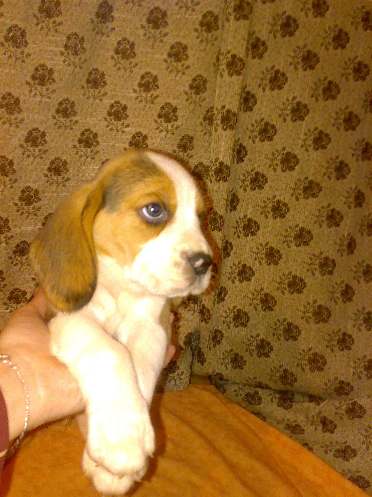 20112008728.jpg