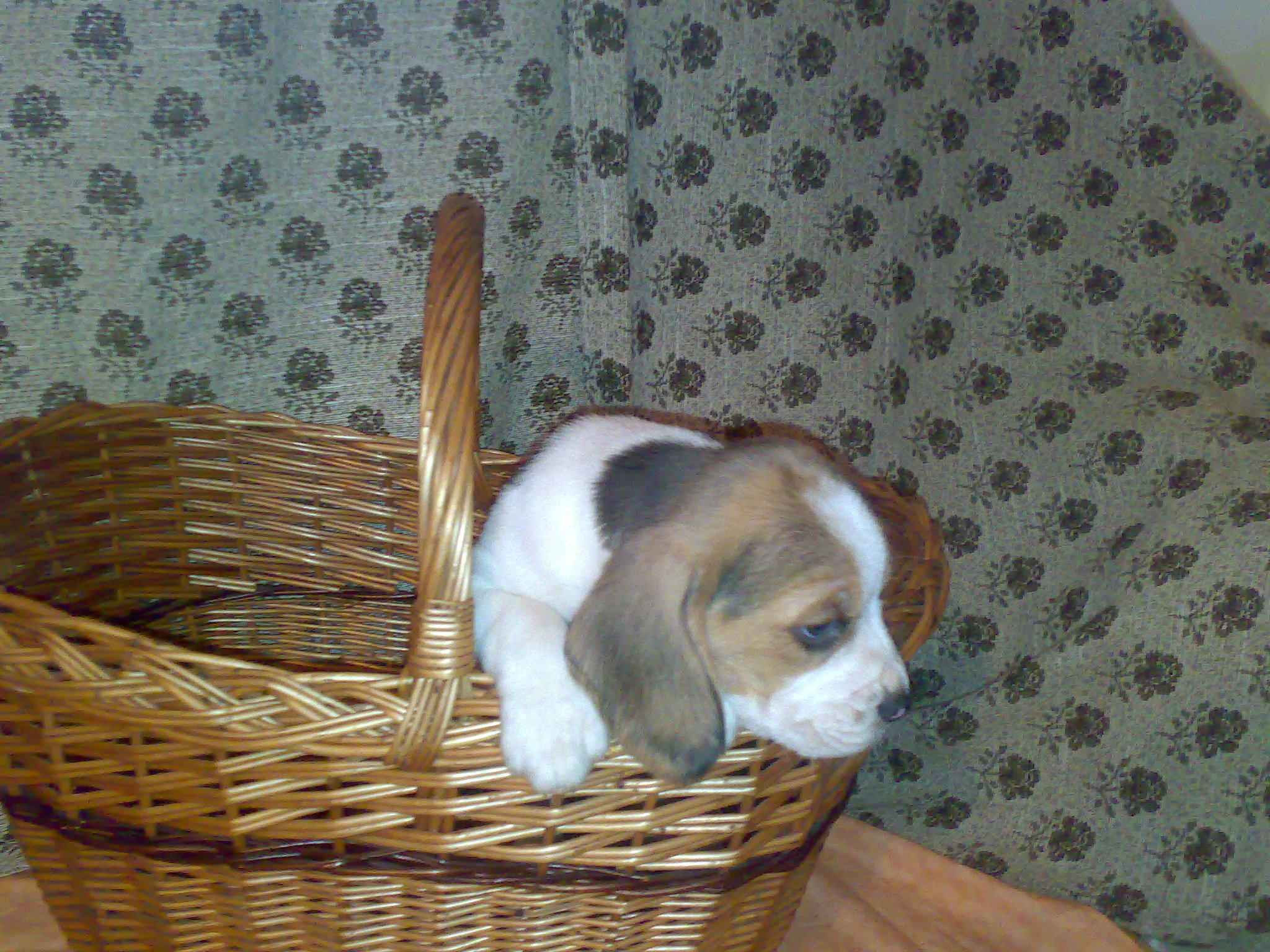 20112008731.jpg